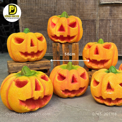 Bí ngô có mặt 50cm Bí ngô có mặt 50cm